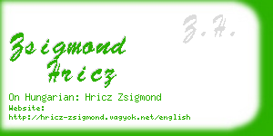 zsigmond hricz business card